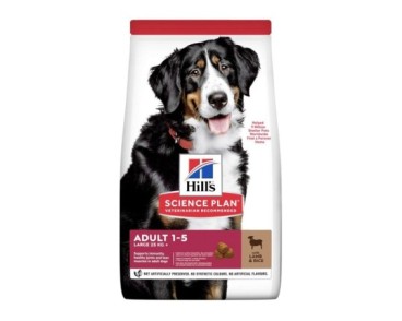 Hill's Science Plan Canine Adult Large Breed Xai & àrros 14kg
