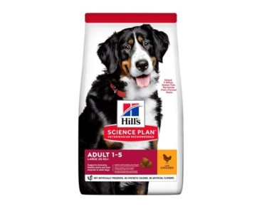 Hill's Science Plan Canine Adult Large Breed pollastre 14kg