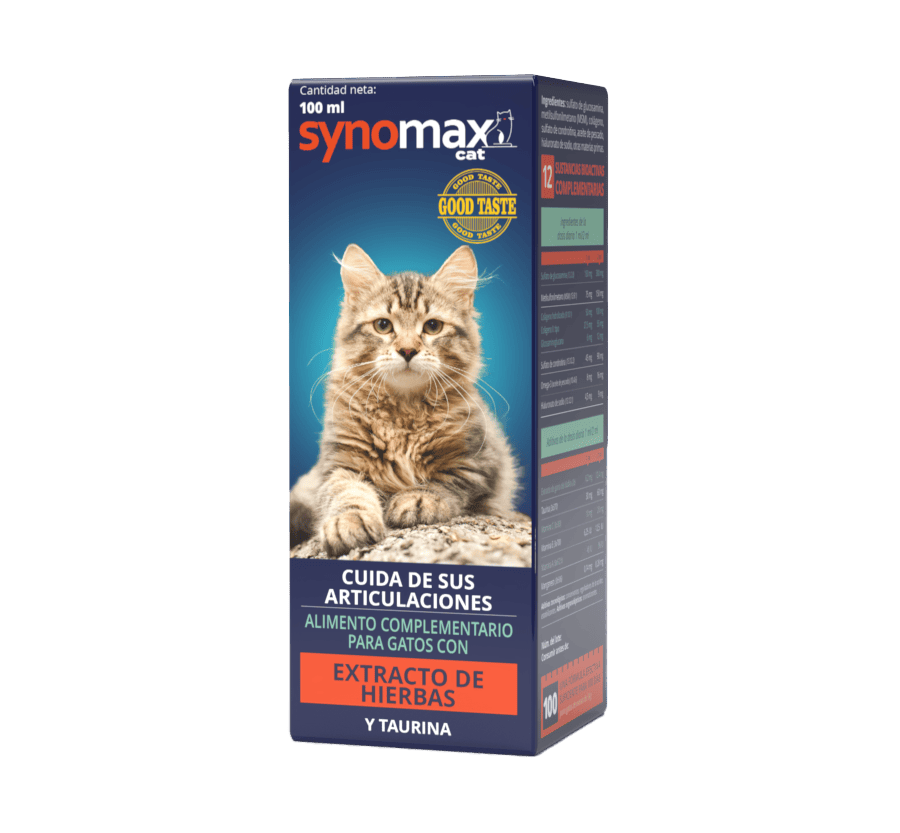 Equinox Synomax Xarop Condo Protector gats
