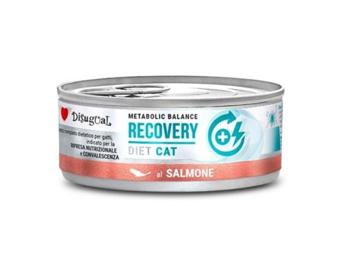 Disugual Metabolic *Recovery* Llaunes Gat Salmó 85Gr