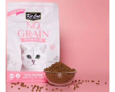 Kit Cat No Grain Recepta per a cadells 1kg