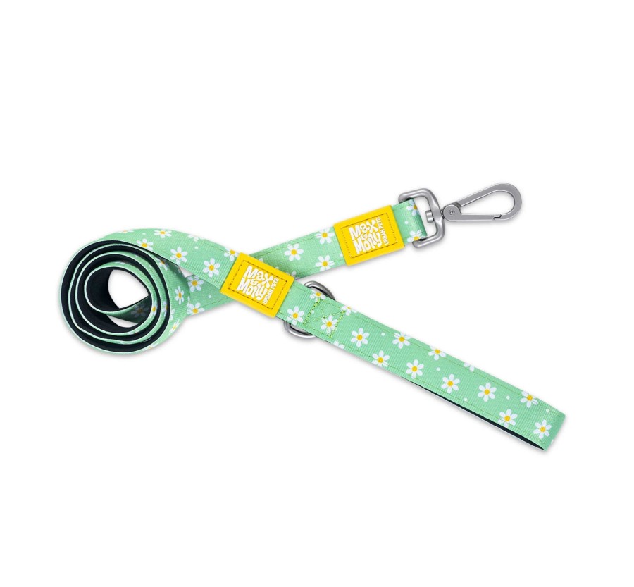 M&M Short Leash - Margarite/XS