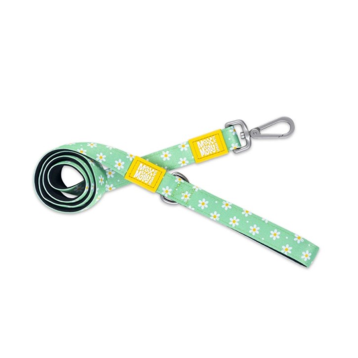 M&M Short Leash - Margarite/XS