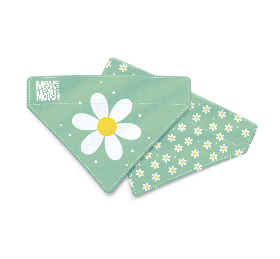 M&M Bandana - Margarite/S