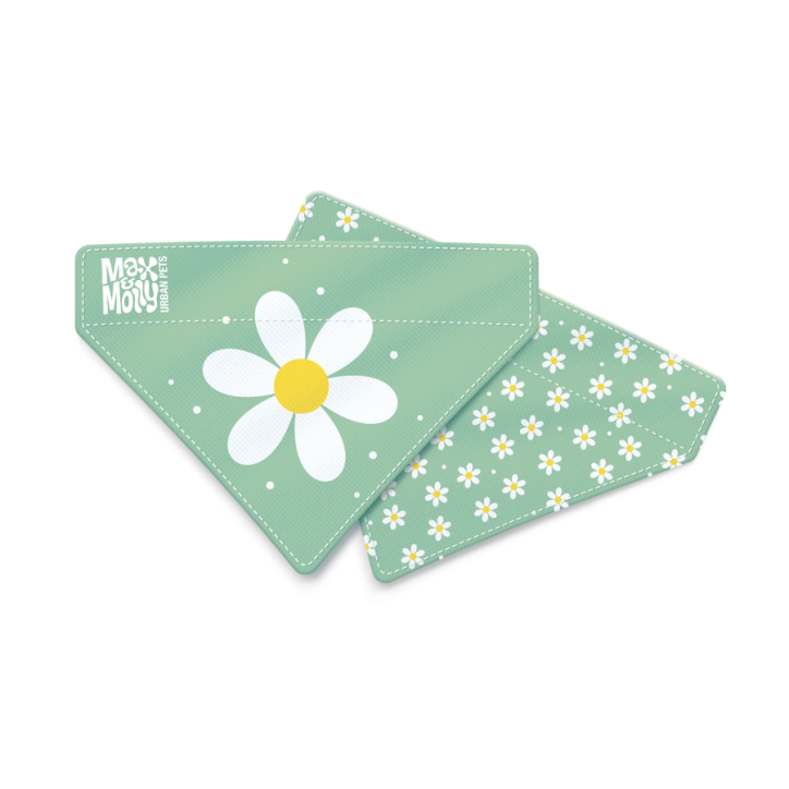 M&M Bandana - Margarite/L