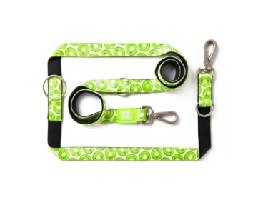 M&M Multi-Function Leash - Kiwi/M
