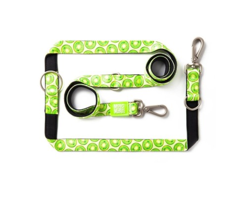 M&M Multi-Function Leash - Kiwi/M