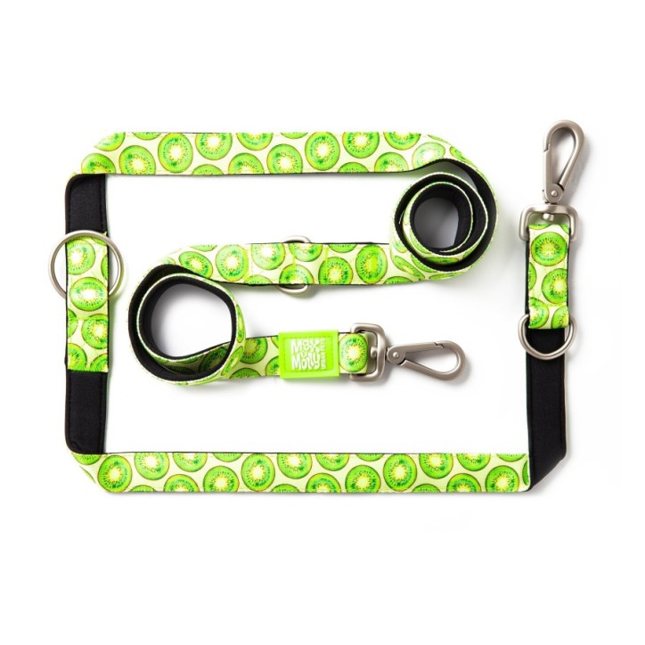 M&M Multi-Function Leash - Kiwi/L