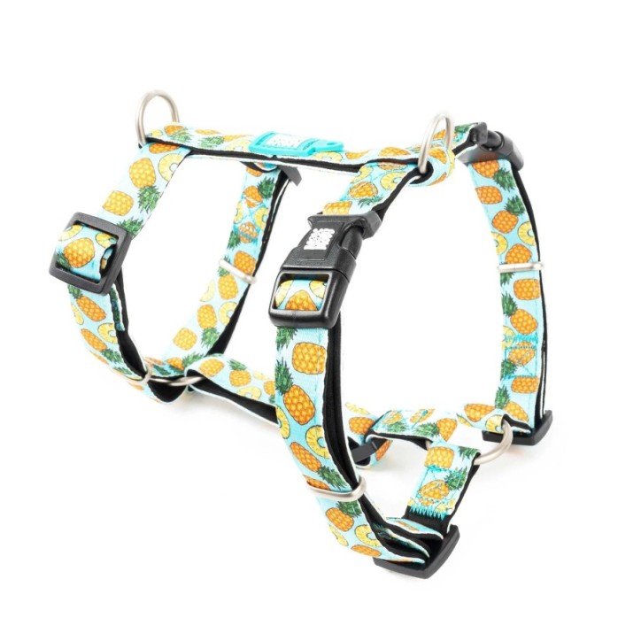 M&M H-Harness - Sweet Pineapple/XS