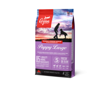 Orijen Puppy Large 6 Kg