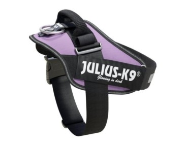 JULIUS  IDC®-Powerharness, Size: 0, Purpura