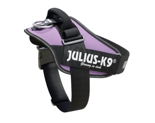 JULIUS  IDC®-Powerharness, Size: 0, Purpura