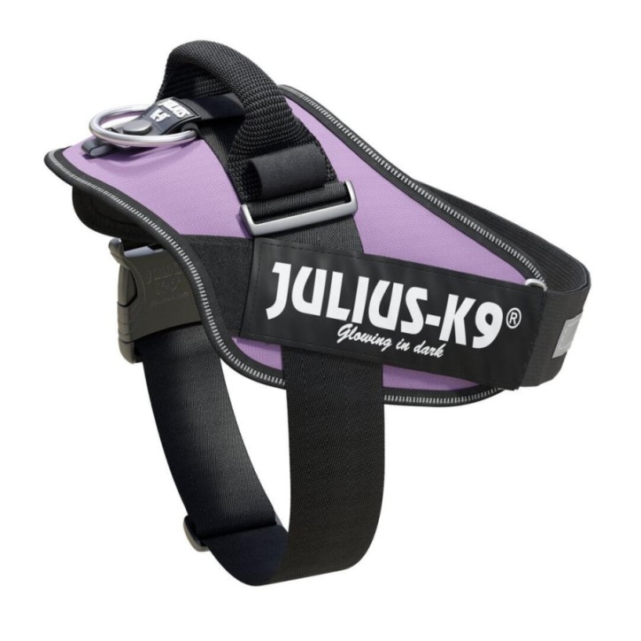 JULIUS  IDC®-Powerharness, Size: 0, Purpura