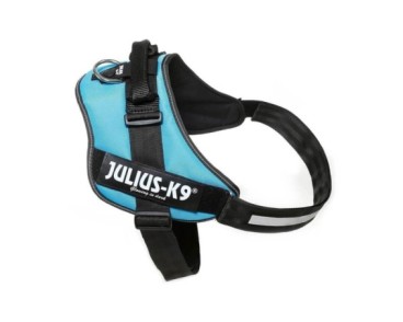 JULIUS  IDC®-Powerharness, Size: Mini-Mini, Aigüa marina