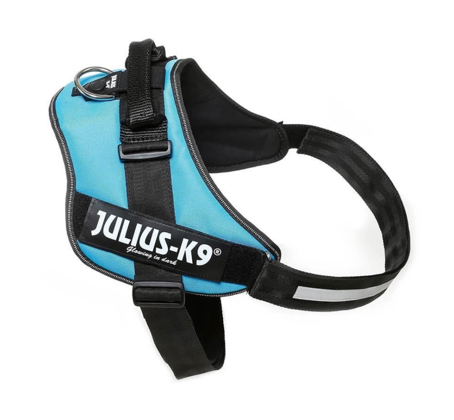 JULIUS  IDC®-Powerharness, Size: Mini-Mini, Aigüa marina