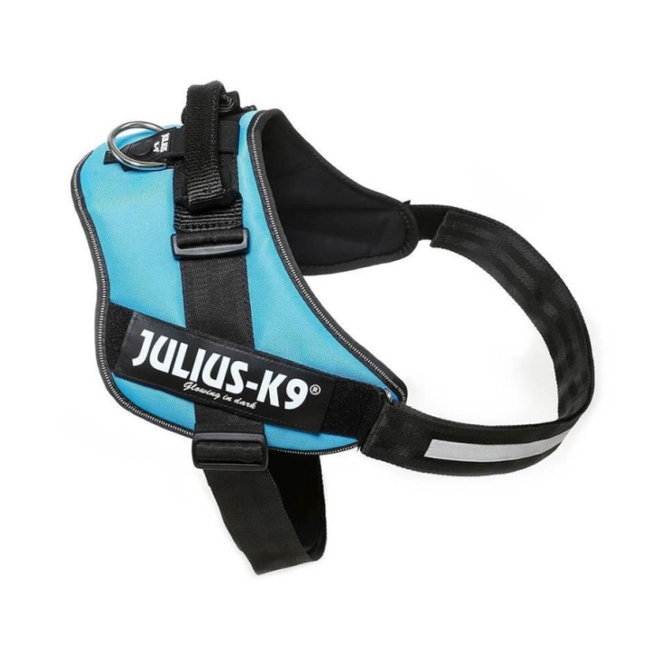 JULIUS  IDC®-Powerharness, Size: Mini-Mini, Aigüa marina