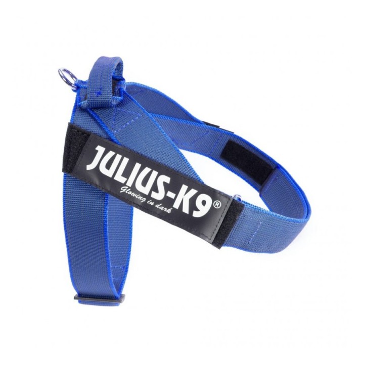 JULIUS arnès cinta,Color & Gray Size: 1, Blau
