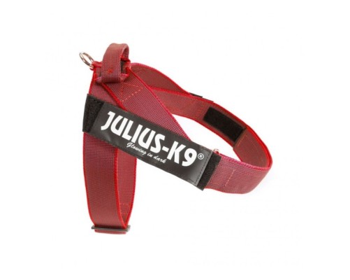 JULIUS arnès cinta,Color & Gray Size: 2, Vermell
