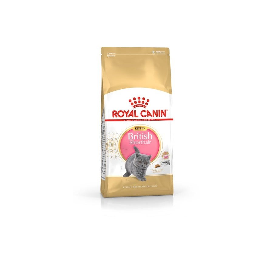 Royal Canin B.G. F.B.N. Gato Kitten British Shorthair 2 kg