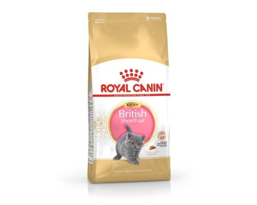 Royal Canin B.G. F.B.N. Gato Kitten British Shorthair 2 kg