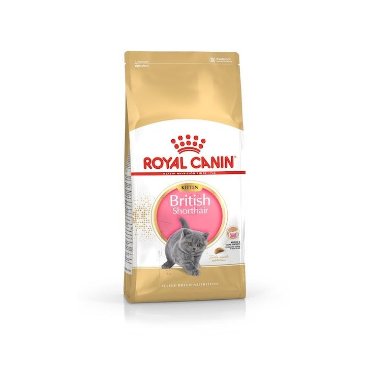 Royal Canin B.G. F.B.N. Gato Kitten British Shorthair 2 kg