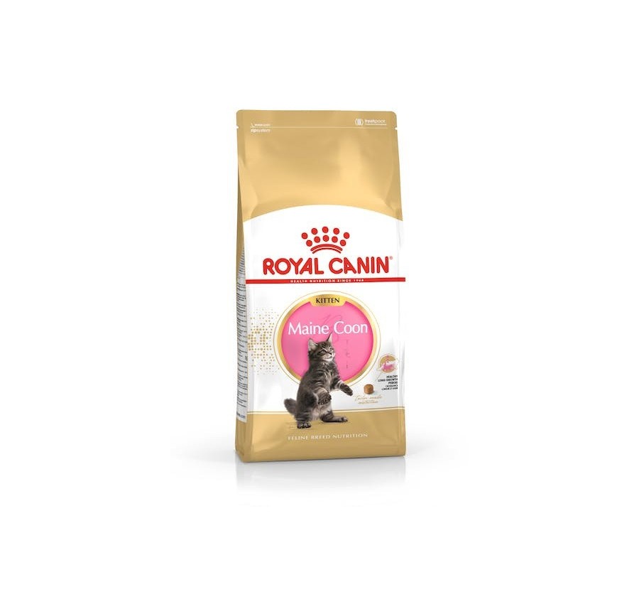 Royal Canin B.G. F.B.N. Gato Kitten Maine Coon 10 kg