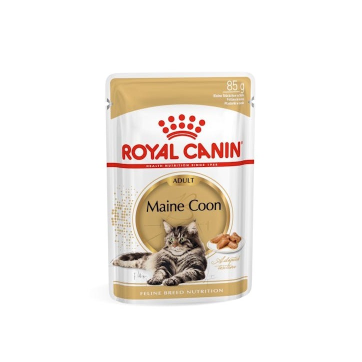 Royal Canin B.G. F.B.N. Gato Maine Coon 12 x 85 gr