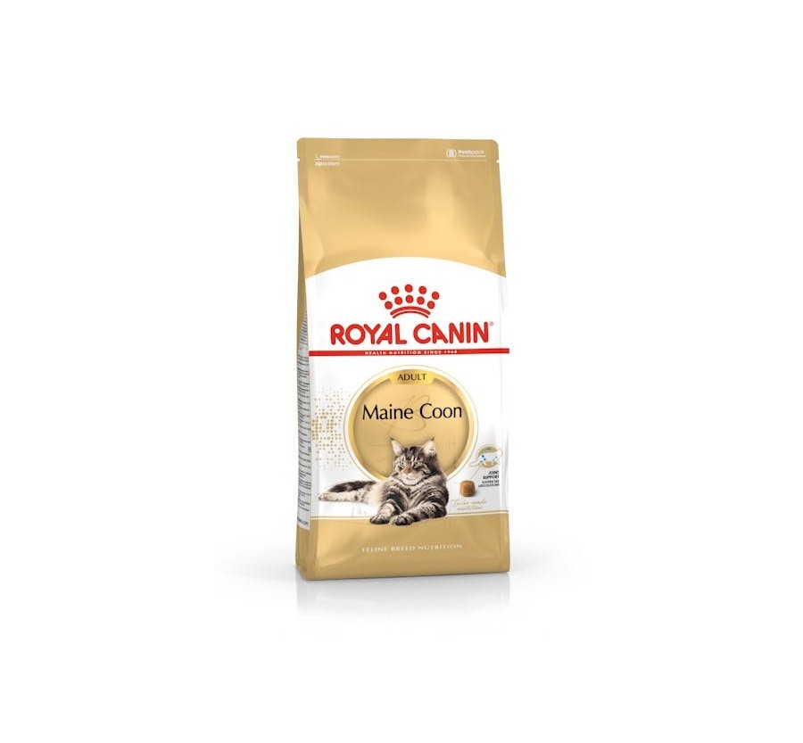 Royal Canin B.G. F.B.N. Gato Maine Coon 4 kg