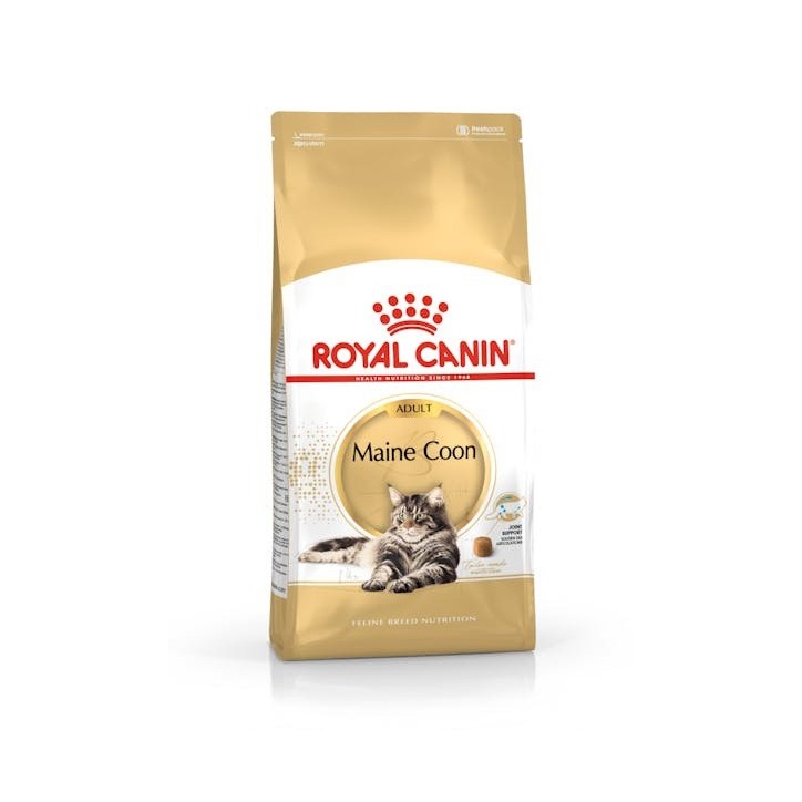 Royal Canin B.G. F.B.N. Gato Maine Coon 4 kg