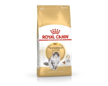 Royal Canin B.G. F.B.N. Gato Norwegian Forest Cat 2 kg