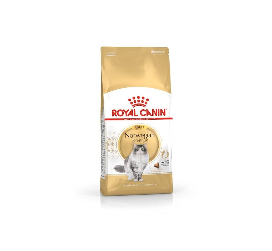 Royal Canin B.G. F.B.N. Gato Norwegian Forest Cat 2 kg