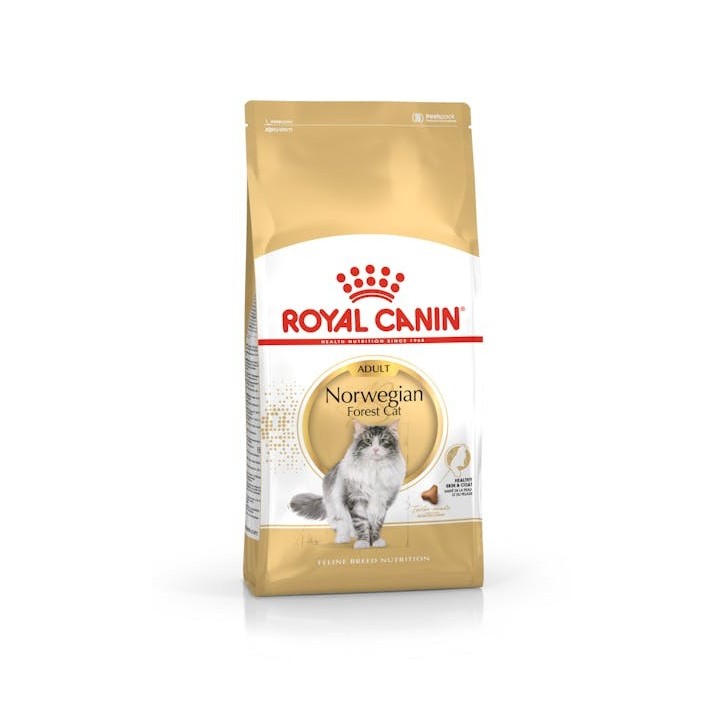 Royal Canin B.G. F.B.N. Gato Norwegian Forest Cat 2 kg