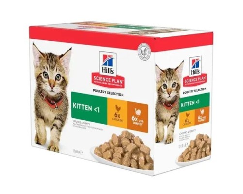 Hill's Science Plan Kitten pollastre i Pavo (Multipack bossetes) 12x85g