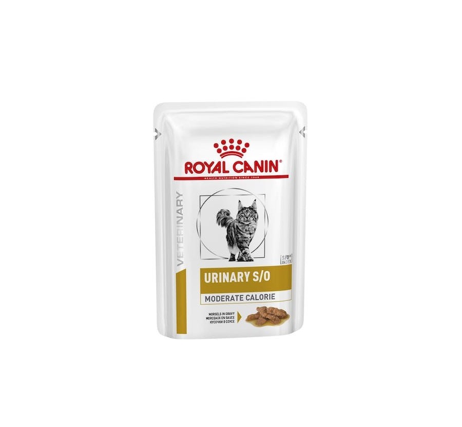 Royal Canin B.G. F.C.N. Gato Urinary Care (salsa) 12 x 85 gr