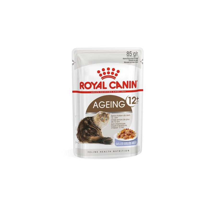 Royal Canin B.G. F.H.N. Gato Ageing +12 (gelatina) 12 x 85 gr