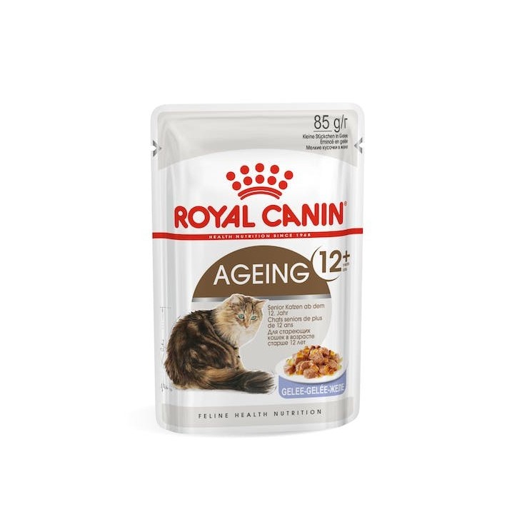 Royal Canin B.G. F.H.N. Gato Ageing +12 (gelatina) 12 x 85 gr