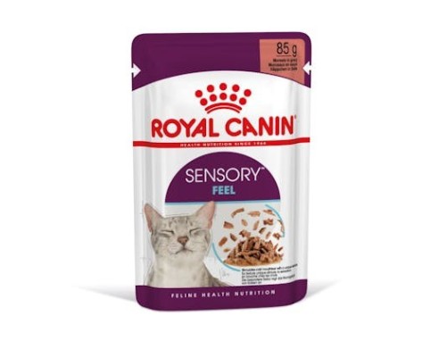 Royal Canin B.G. F.H.N. Gato Sensory Feel (salsa) 12 x 85 gr