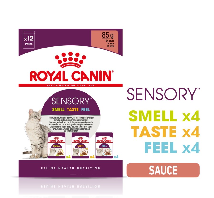 Royal Canin B.G. F.H.N. Gato Sensory Multipack (Smell + Taste + Feel) 3 x 4 x 85 gr