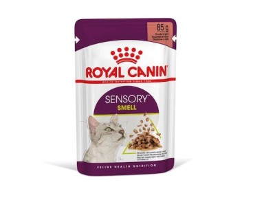 Royal Canin B.G. F.H.N. Gato Sensory Smell (salsa) 12 x 85 gr