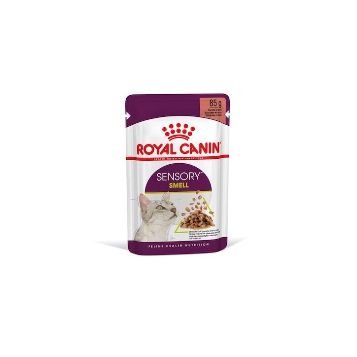 Royal Canin B.G. F.H.N. Gato Sensory Smell (salsa) 12 x 85 gr