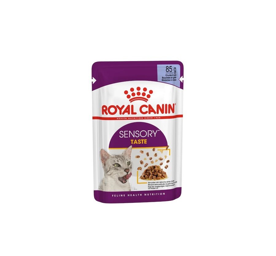 Royal Canin B.G. F.H.N. Gato Sensory Taste (salsa) 12 x 85 gr