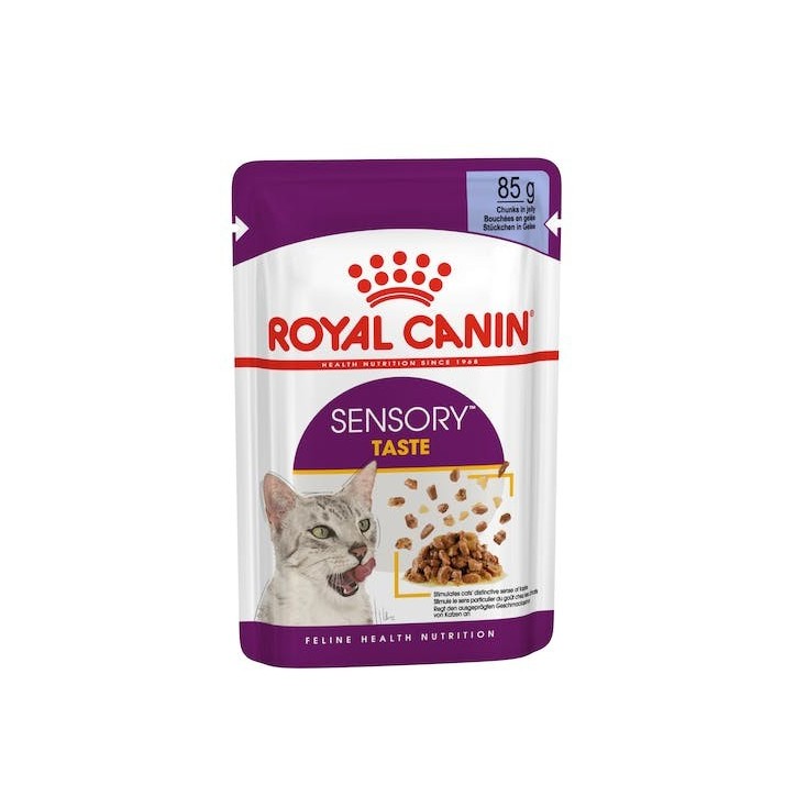 Royal Canin B.G. F.H.N. Gato Sensory Taste (salsa) 12 x 85 gr
