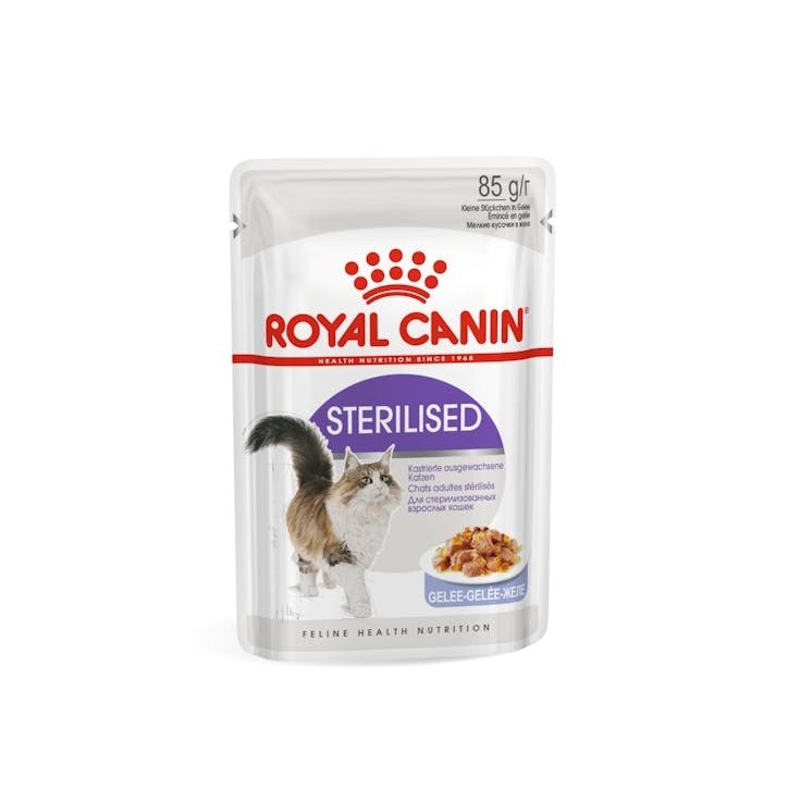Royal Canin B.G. F.H.N. Gato Sterilised (salsa) 12 x 85 gr