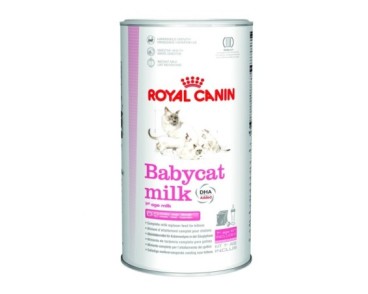 Royal Canin B.G. Gato Babycat Milk - 1st Age Milk 0,3 kg