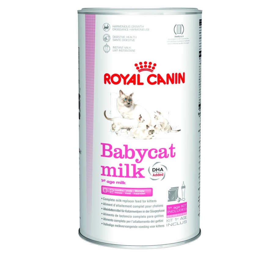 Royal Canin B.G. Gato Babycat Milk - 1st Age Milk 0,3 kg