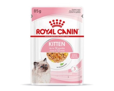 Royal Canin B.G. Gato Kitten (paté) 12 x 85 gr
