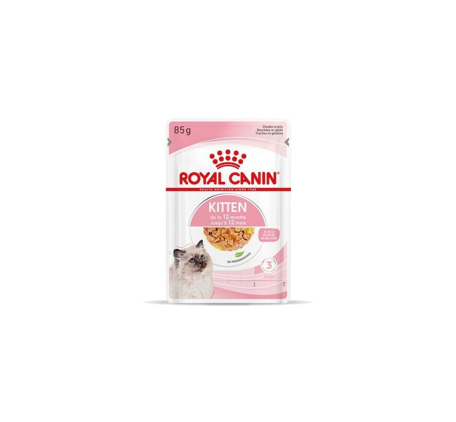 Royal Canin B.G. Gato Kitten (paté) 12 x 85 gr