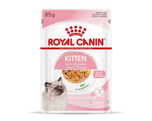 Royal Canin B.G. Gato Kitten (paté) 12 x 85 gr