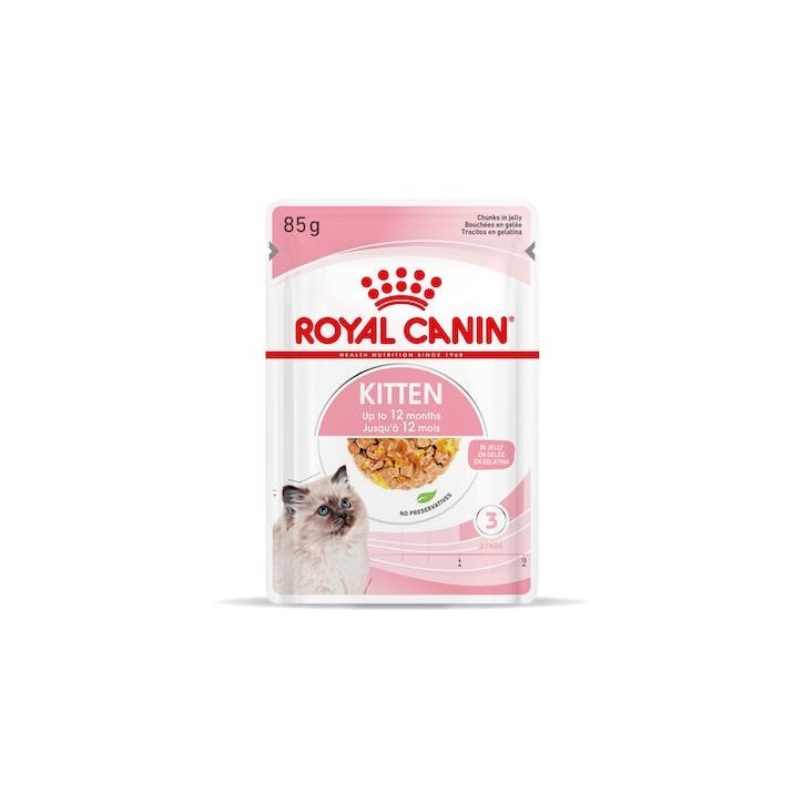 Royal Canin B.G. Gato Kitten (paté) 12 x 85 gr
