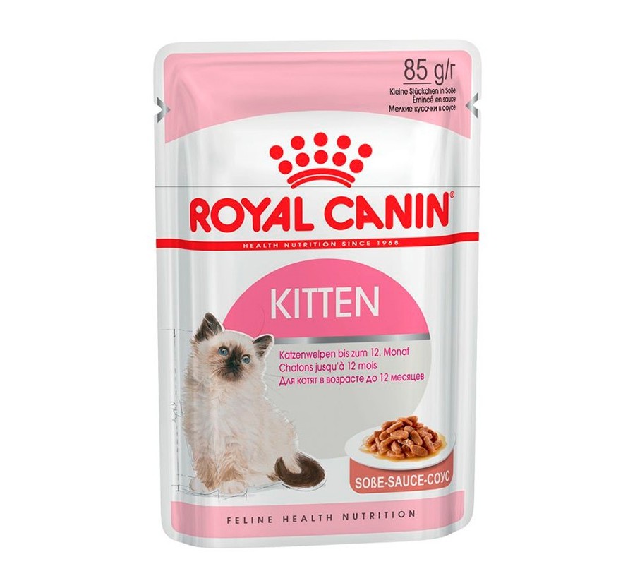 Royal Canin B.G. Gato Kitten (salsa) 12 x 85 gr
